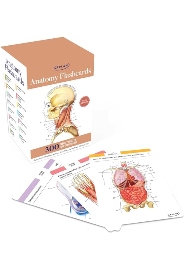 Gray's Anatomy for Students Flash Cards: with STUDENT CONSULT